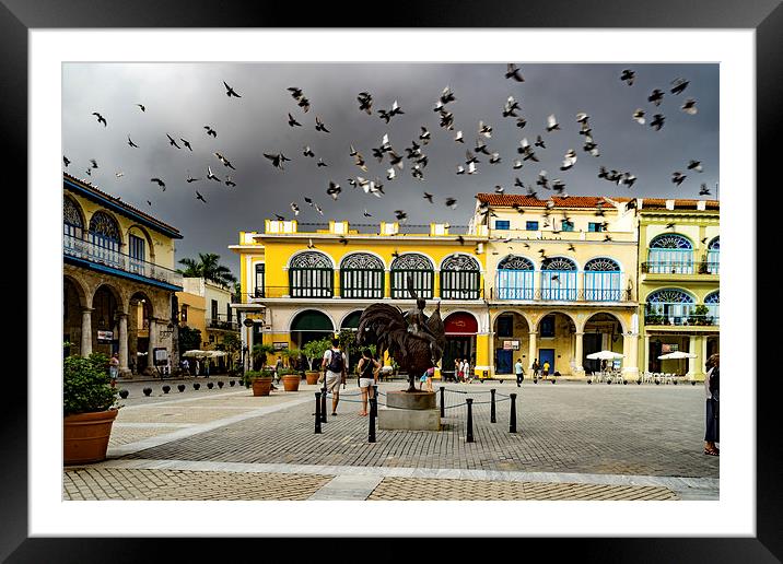 Havana Square Framed Mounted Print by Gail Johnson