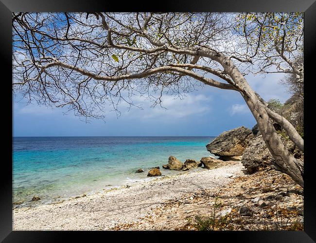 Curacao beach Framed Print by Gail Johnson