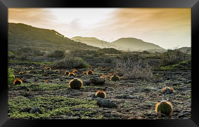 Shete Boka National park Framed Print by Gail Johnson