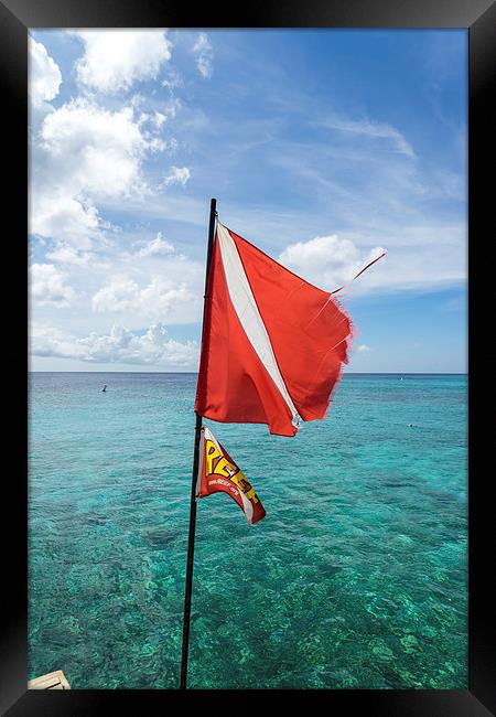 Kura Hulunda dive flag Framed Print by Gail Johnson