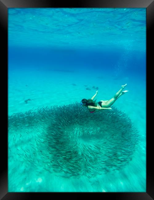 Curacao Underwater Views Framed Print by Gail Johnson