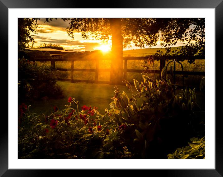 Sunset Framed Mounted Print by Gail Johnson