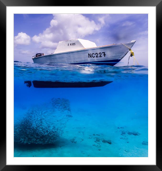     Grandi Beach with pelicans and turtles -Curaca Framed Mounted Print by Gail Johnson