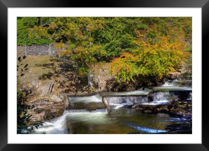 Fish ladder Framed Mounted Print by Gail Johnson