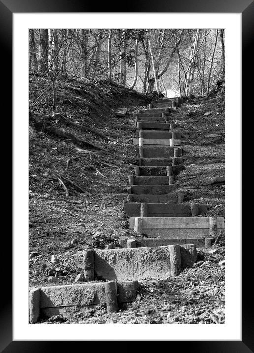 Woodland Steps mono Framed Mounted Print by Glen Allen