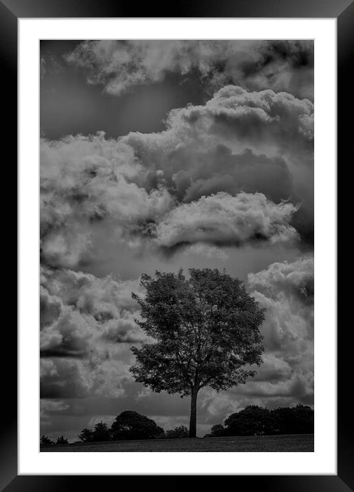 Mono Tree with stormy skies behind  Framed Mounted Print by Glen Allen