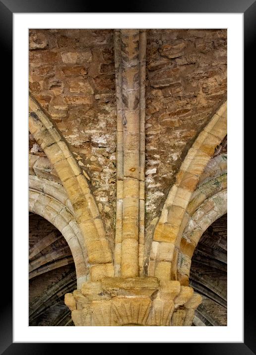 Cistercian architecture Cloisters  Framed Mounted Print by Glen Allen