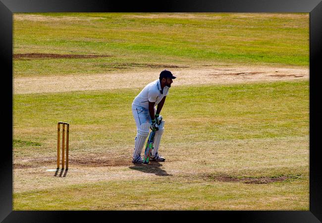 I Don't Like Cricket, eh, oh no, I Love It! Framed Print by Glen Allen