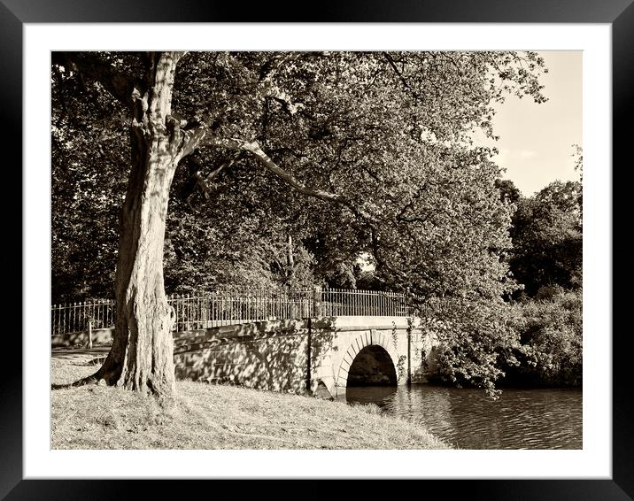 Bridge at the Upper Lake Framed Mounted Print by Glen Allen