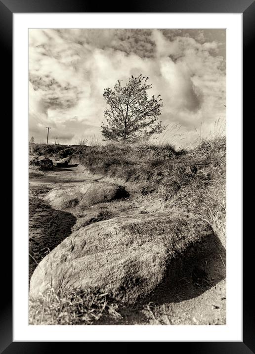 Norland Moor Sepia Framed Mounted Print by Glen Allen