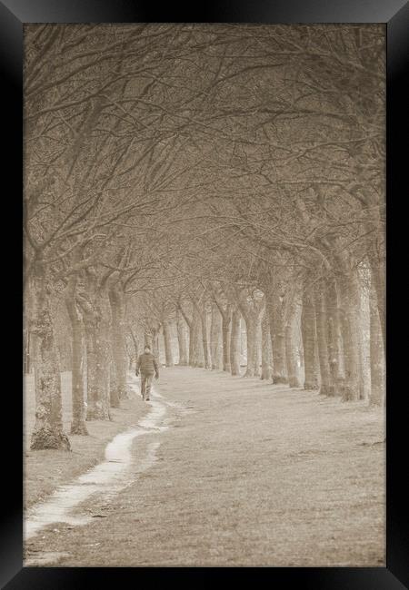 Winter Stroll - Sepia Framed Print by Glen Allen