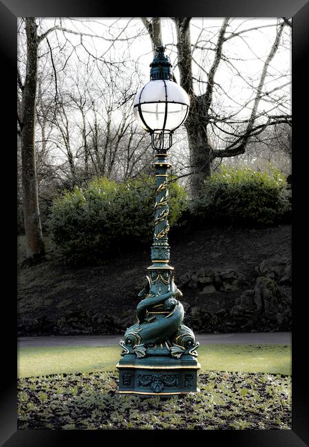 Garden Lantern Framed Print by Glen Allen