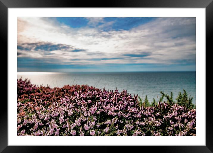 Late Afternoon Sea View - Perranporth Cornwall Framed Mounted Print by Glen Allen