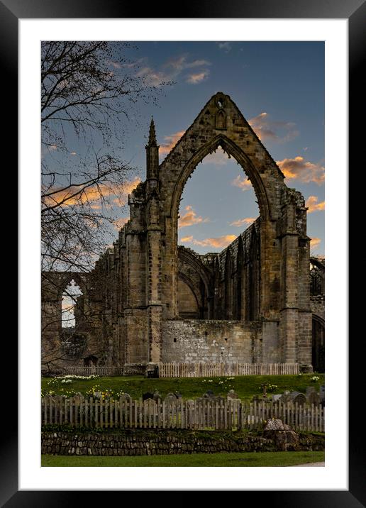 Bolton Abbey Ruins 04 Framed Mounted Print by Glen Allen