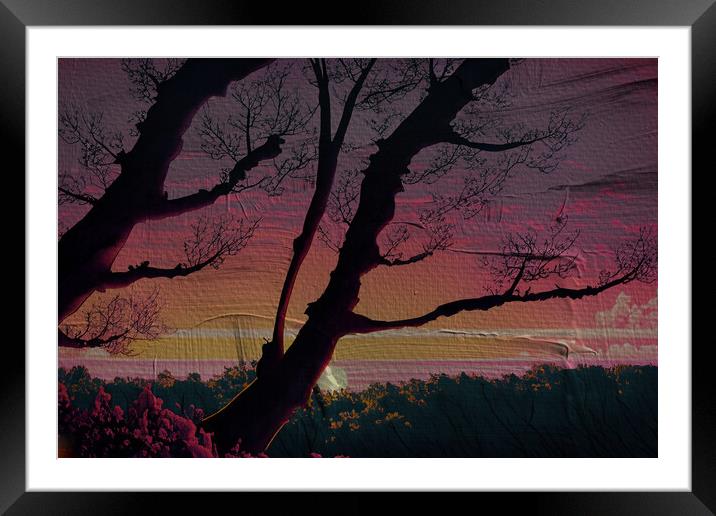 Forest Sun Set 02  Framed Mounted Print by Glen Allen