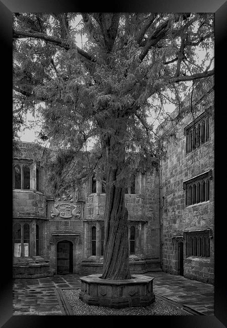 Skipton Castle Courtyard  Framed Print by Glen Allen