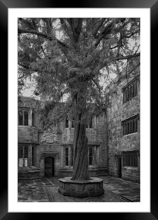 Skipton Castle Courtyard  Framed Mounted Print by Glen Allen