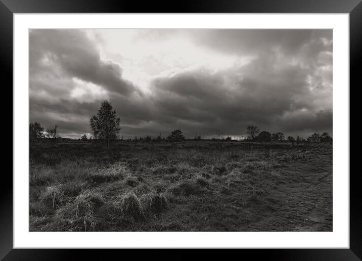 Autumn at Norland 2023 Mono Framed Mounted Print by Glen Allen