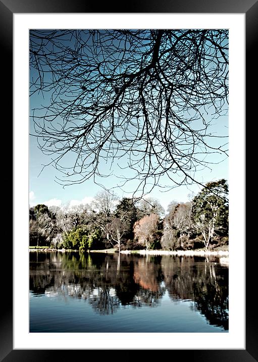 The lake, Mount Stewart Framed Mounted Print by Stephen Maxwell