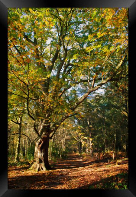 Tranquil Sandringham Path Framed Print by John Edwards