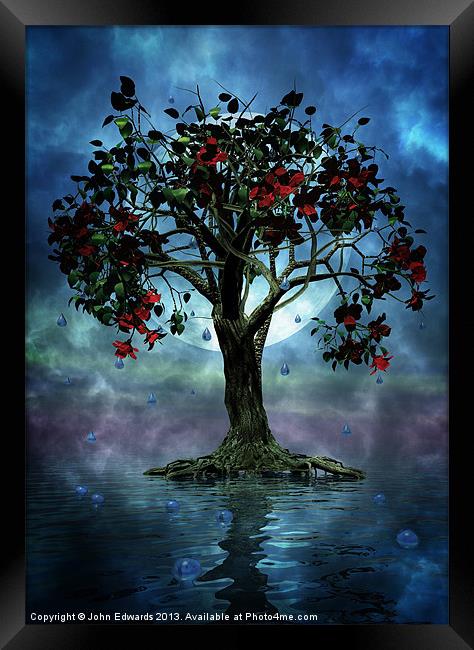 The Tree that Wept a Lake of Tears Framed Print by John Edwards