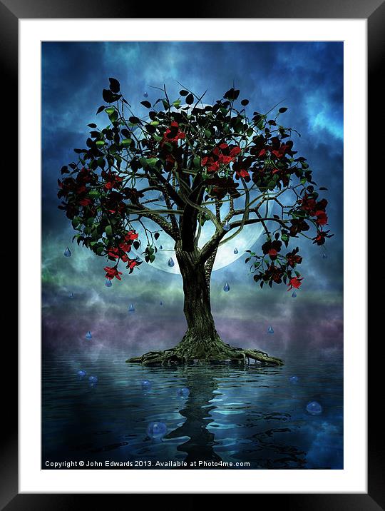 The Tree that Wept a Lake of Tears Framed Mounted Print by John Edwards