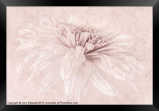 Pink Impression Framed Print by John Edwards