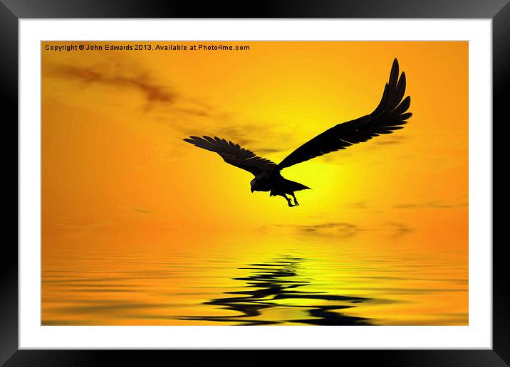 Eagle Sunset Framed Mounted Print by John Edwards