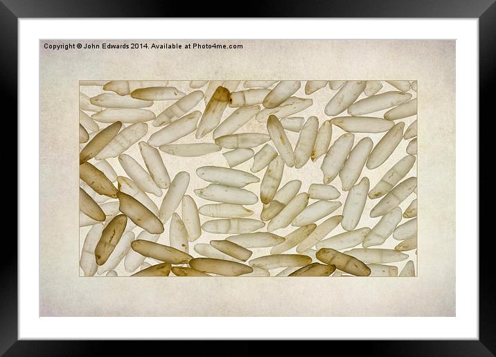 Textured Rice Grains Framed Mounted Print by John Edwards