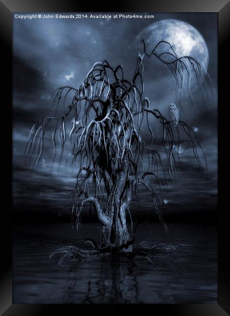 The Tree of Sawols Cyanotype Framed Print by John Edwards