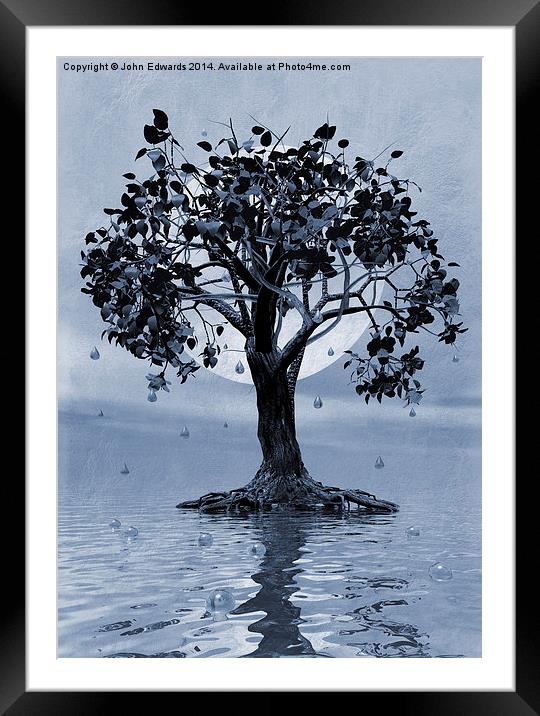 The Tree that Wept a Lake of Tears Framed Mounted Print by John Edwards