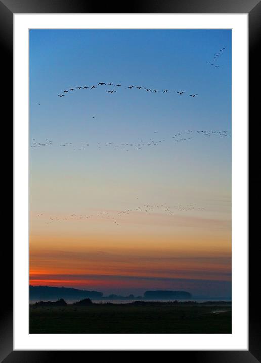 Pink Feet and Fog Framed Mounted Print by John Edwards