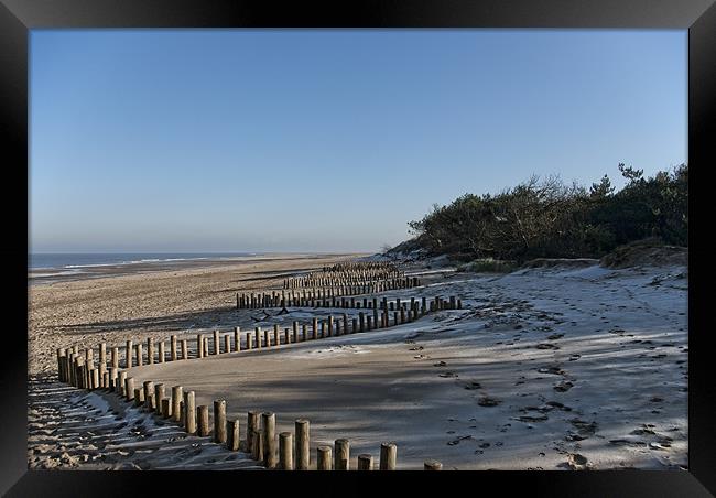 Dune conservation work, Holme Dunes, North Norfolk Framed Print by John Edwards