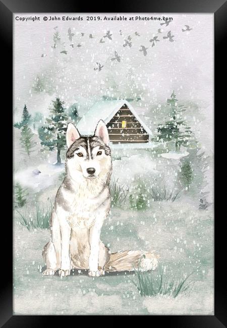 A Winters Tail Framed Print by John Edwards