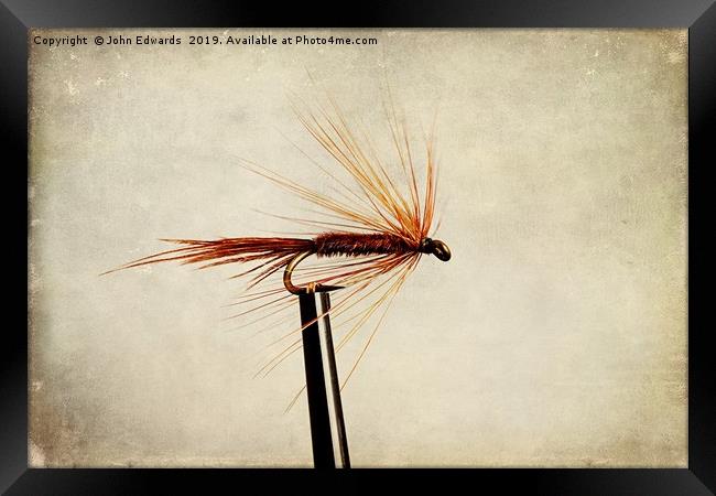 Pheasant Tail Dry Fly Framed Print by John Edwards