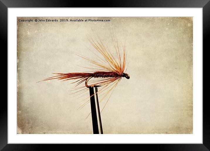 Pheasant Tail Dry Fly Framed Mounted Print by John Edwards