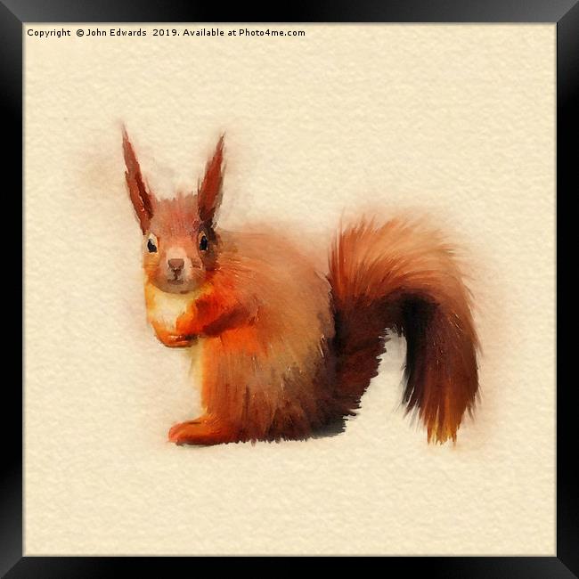 Red Squirrel (Sciurus vulgaris)   Framed Print by John Edwards