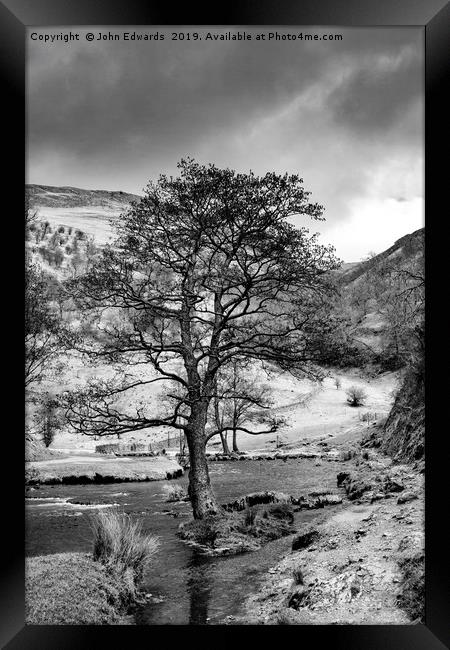The Tree in the Dove Monochrome  Framed Print by John Edwards