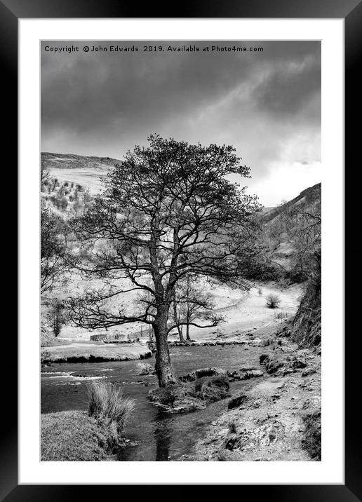 The Tree in the Dove Monochrome  Framed Mounted Print by John Edwards