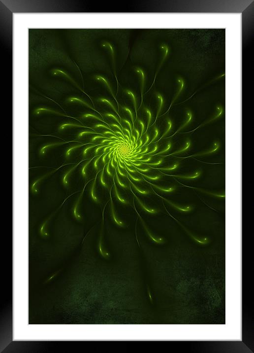 Green Paint Framed Mounted Print by John Edwards