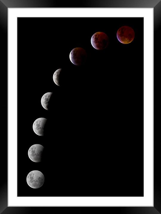 Lunar Eclipse Framed Mounted Print by Sharpimage NET