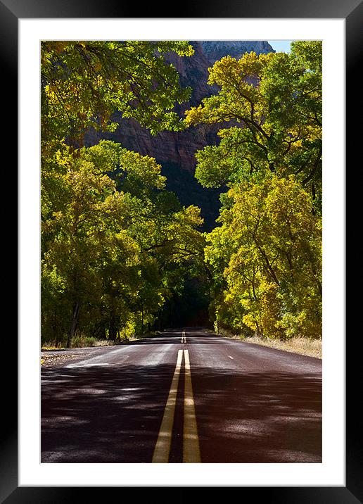 Tree Tunnel Framed Mounted Print by Sharpimage NET