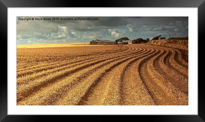  Spud field. Framed Mounted Print by Steve Walsh