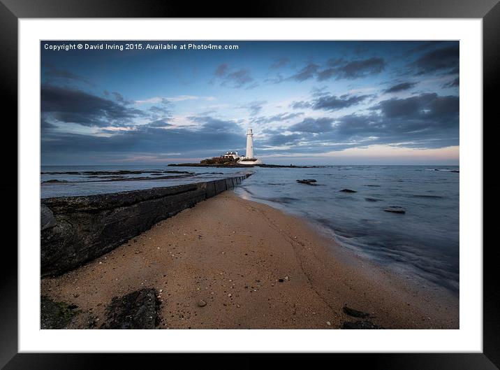  St Marys Lighthouse and Island Framed Mounted Print by David Irving