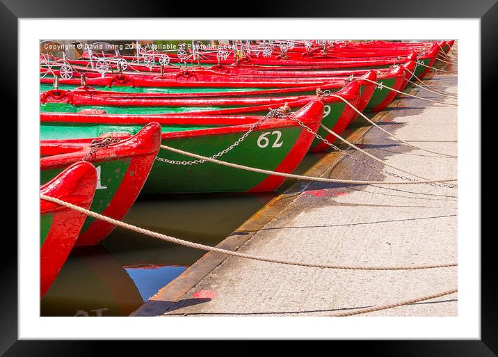  Rowing boats Framed Mounted Print by David Irving