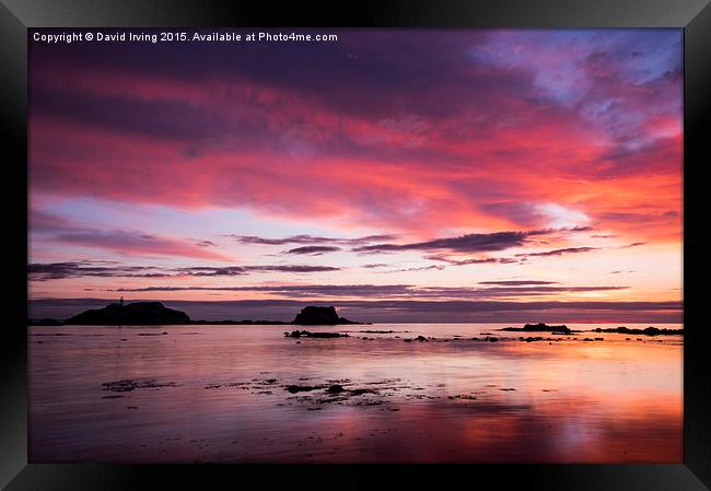 Sunrise over the Island of Fidra East Lothian  Framed Print by David Irving
