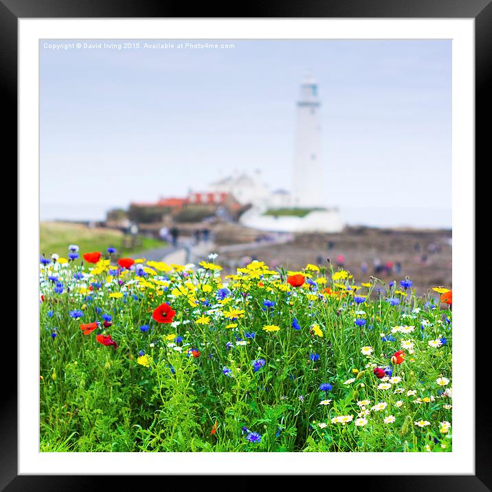  Wild Flowers Framed Mounted Print by David Irving