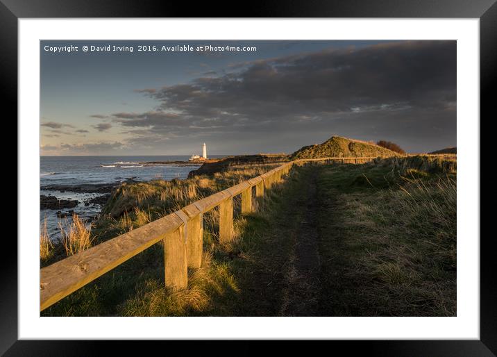 Sunset St Marys Lighthouse Framed Mounted Print by David Irving