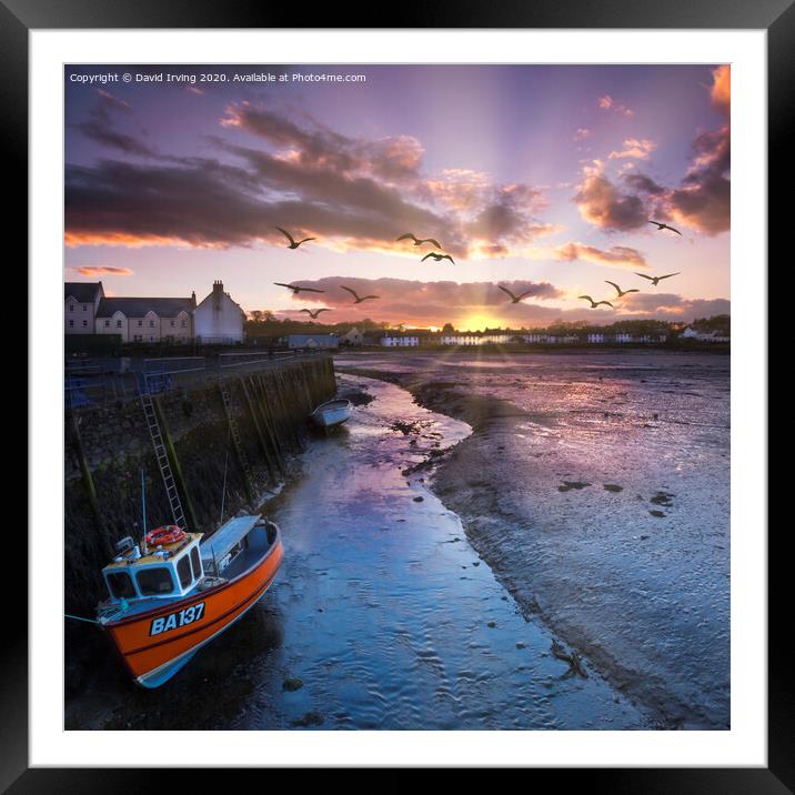 Sunset over Garlieston harbour Framed Mounted Print by David Irving