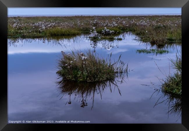 reflection in water Framed Print by Alan Glicksman